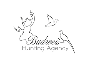 Logo Budweis Hunting Agency